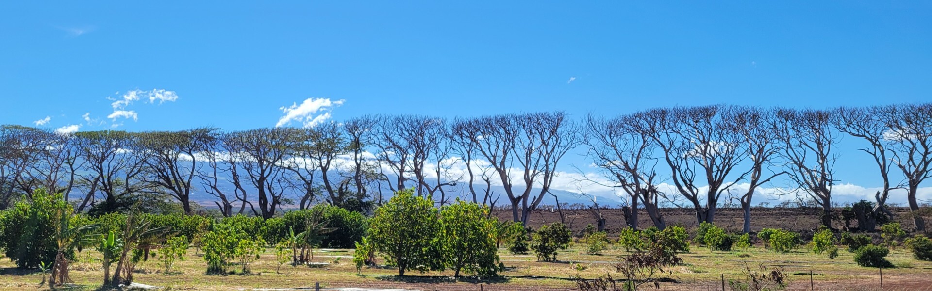 Photo of the Day: Kala Road – No Longer Traveled | News, Sports, Jobs ...
